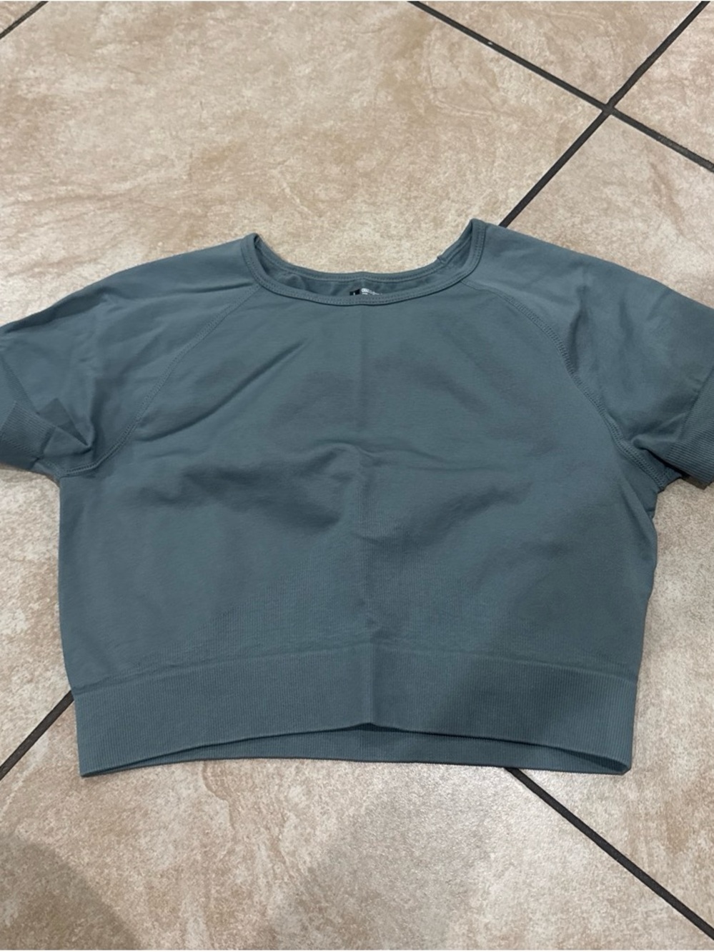 Women's Short Sleeve Crop Top in Slate Green